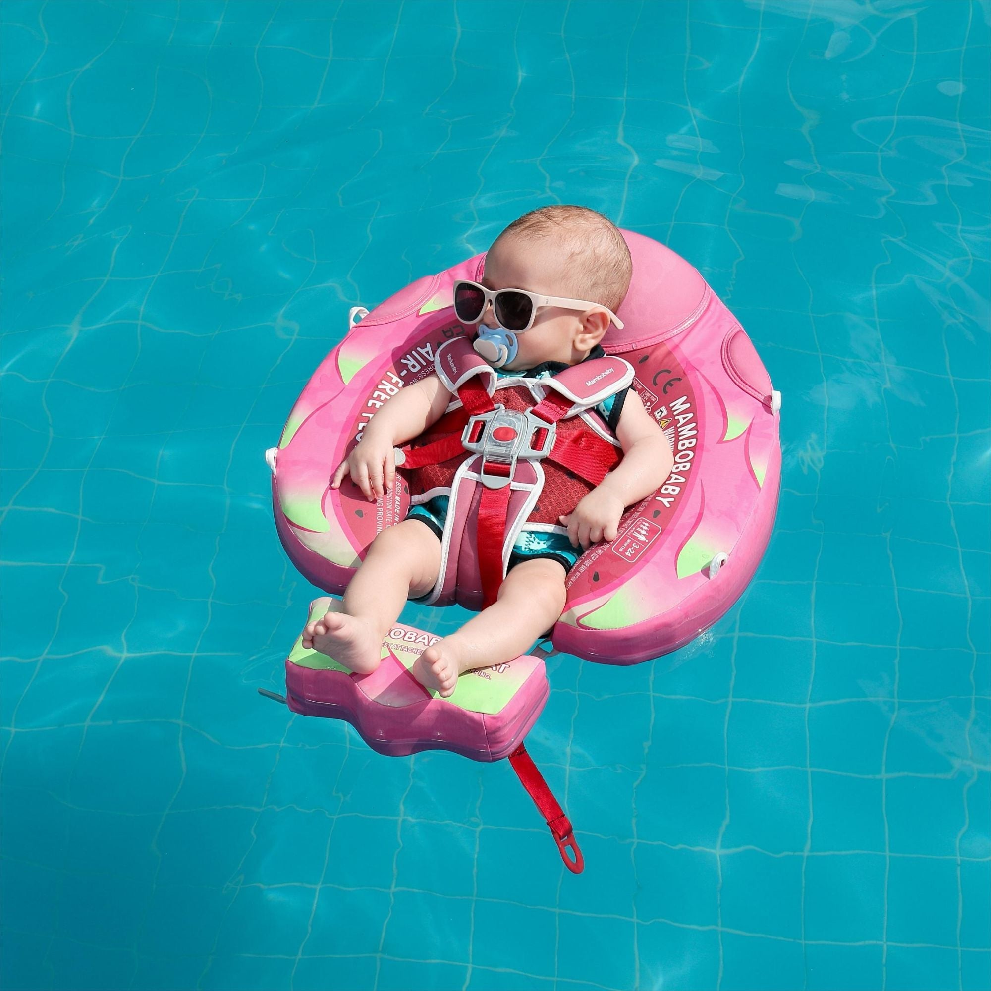 Mambobaby Float Dragon Fruit
